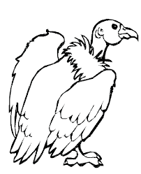 Animals coloring pages are pictures of many different species of animals to color. Cute Desert Animals Coloring Pages Novocom Top