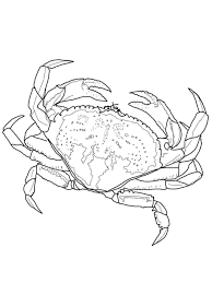 Crab Coloring Pages 45 Crab Coloring Page Printable Hermit Crab Coloring Pages For Kids Entitlementtrap Com Coloring Pages Crab Art Animal Coloring Pages