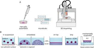 Maybe you would like to learn more about one of these? 3d Cell Culture An Introduction Springerlink