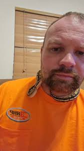 Bumblebee loves giving kisses