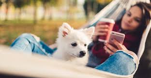 Banfield pet hospital's main profile page. Janet Carro Veterinary Assistant At Banfield Pet Hospital In Huntington Beach Ca