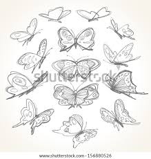 Fancy butterfly coloring page (click to open and download pdf). Pencil Drawing Of Butterfly At Getdrawings Free Download