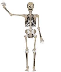 But others are constantly evolving. Videos Kids Learning Tube