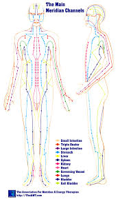 Meridian Chart Map Of Meridians Meridian Points