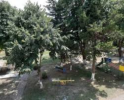 Descriere hotel complex marea neagra. Complex Marea Neagra Eforie Nord Romania