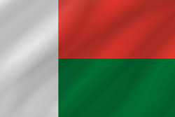 Madagascar national fabric flag textile background. Madagascar Flag Icon Country Flags