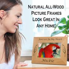 5x7 Create Your Own Bird Picture Frame, Custom Bird Photo Frame for Men,  Bird Feather Gift for Women, Bird Lover Gifts for Aunt, Bird Mom