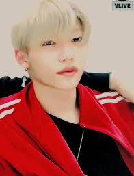 IMAGIFY •Stray Kids• [ZAMKNIĘTE]