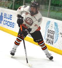 Kaiden guhle 2019 2020 whl draft highlights. Stanks Sermon Heidt Yager Highlight Banner Whl Bantam Draft Day