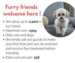 A chic loft in downtown montreal with thoughtful accents and a shared outdoor jacuzzi. Pet Friendly Airbnb Yes Or No Learn More On Top Airbnb Tips Top Airbnb Pets Pet Friendly