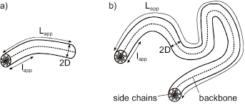 There are numerous claims that it helps with digestive issues, improves memory, strengthens your immune system, promotes stronger bones and reduces joint pain, says keri gans, a registered dietician and author of the small change Schematic Drawing Of A Worm Like Chain With Cylindrical Cross Section Download Scientific Diagram