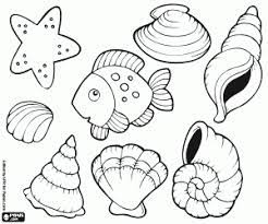 Sie können diese in gängigen grafikprogrammen öffnen und in guter qualität. Ausmalbilder Muscheln Ein Seestern Und Ein Fisch Zum Ausdrucken