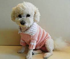 Dog Clothes T Shirt Dog Sweater Cotton Dog Sweater Etsy In 2020 Small Dog Clothes Small Dog Sweaters Dog Sweater