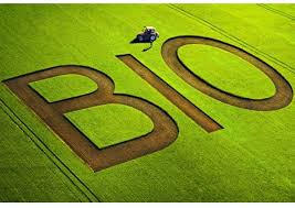 We did not find results for: Organic Food Italy Ranks First In Terms Of Companies Italianfood Net