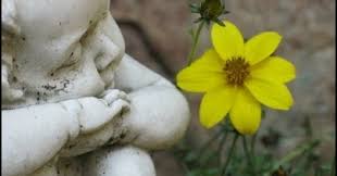 Jumlah penduduknya mencapai 160 juta jiwa, maka dari itu pulau ini juga termasuk pulau terpadat di dunia. Atur Atur Ulem Bahasa Jawa Secara Singkat Dan Benar Yosefpedia Com