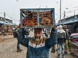 Maharashtra has become the eighth state to confirm bird flu. Bird Flu Over 2 000 Birds To Be Culled In Two Districts In Maharashtra Business Standard News