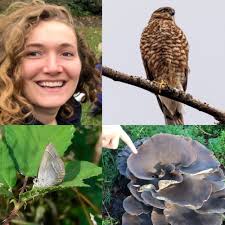 Videos — The Friends of Wandsworth Common