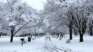 Albany New York Is A Great Destination For A Winter Getaway Explore Albany S Historic Washington Park In Winter Snow Washington Park Winter Vacation Albany