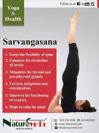 Sarvangasana Brain Yoga Wellness Yoga Yoga Benefits