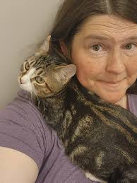 Marsh harriers having a food pass and him going back too have a rest.