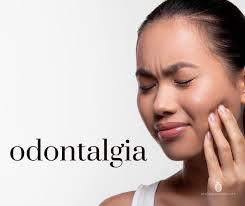 De las siguientes palabras, ¿cuáles llevan tilde? 🤔