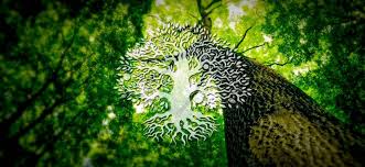 If this was done, eventually the calendar would fall out of sync with the gregorian year, because some calendar years have 12 full moons and others have 13. Celtic Tree Of Life The Meaning And History Of The Ancient Symbol Celtic Elegance Jewelryceltic Elegance Jewelry