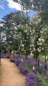 Blenheim English Garden Design Landscape Design English Country Gardens
