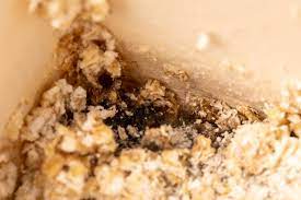 But, like many other food and drink products, it has a best before date or a use by date which is simply the last date by which a manufacturer will vouch for a product's quality, not its safety. Does Oatmeal Go Bad