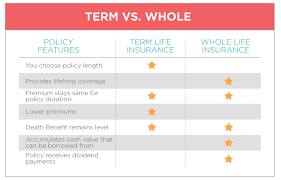Aarp offers both term and permanent policies. 9 Different Types Of Life Insurance Explained