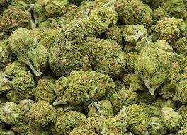 Image result for cannabis