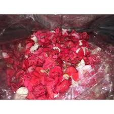 Check spelling or type a new query. Bunga Tabur Shopee Indonesia