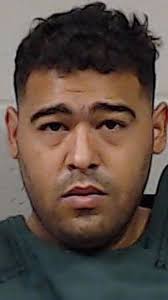 A man has been charged with murder, attempted murder, kidnapping an other  crimes in connection with the stabbing death of a Wichita mother last week.  Wichita police say the 27-year-old woman was