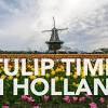 Profytodsd tulip festival is noordoostpolders main tulip festival. Https Encrypted Tbn0 Gstatic Com Images Q Tbn And9gctz7slxlijnrii7fpwfai9tiosggcydo9fxi Nowemlf6eou1mn Usqp Cau