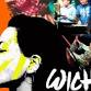 44th Wichita Asian Festival