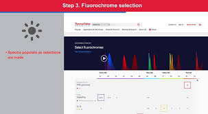 Flow Cytometry Panel Builder Thermo Fisher Scientific Ru