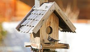 Vogelfutter plaetze selber machen heimwerkermagazin. Vogelfutter Selber Machen Wie Sie Piepmatze Verwohnen