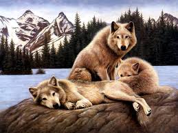 Resultado de imagen para imagenes de animales