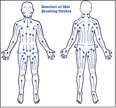 Dry Brushing Direction Of Strokes Dry Brushing Skin Skin Brushing Dry Brushing Lymphatic System