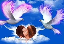 Maybe you would like to learn more about one of these? Marcos De Aves Marcos De Fotos 2021