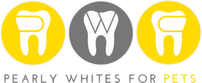 Simply Clean Teeth: Natural Pet Teeth Cleaning in Toronto