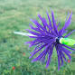 Summer Series: FluFlu Clout Archery