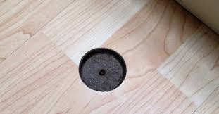 Find your closest pergo dealer search. Laminate Floor Repair Chips And Scratches Plastic Surgeon