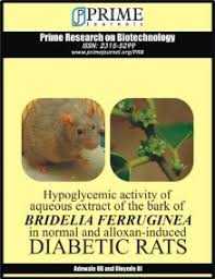 Image result for Bridelia ferruginea