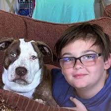 Rep. Alvin Holmes defends Gov. Robert Bentley by saying "there ain't no law  against having a girlfriend." Some lawmakers are trying to impeach the  governor who admitted to having an inappropriate relationship