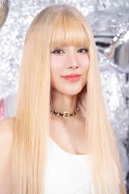 Diệp Lâm Anh có bạn trai