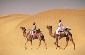 Camel races, camel dances, and the bumpy, neck shaking camel rides. World Famous Bikaner Camel Festival Viaje A India India S Invitation