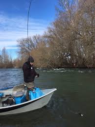 Yakima River Report Feb 11 2018 The Evening Hatch