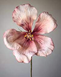 6 497 Otmetok Nravitsya 102 Kommentariev Natasja Sadi Cakeatelieramsterdam V Instagram Sugar Hibiscus One Of My In 2020 Flowers Hibiscus Flowers Sugar Flowers