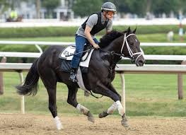 Arabella wilcock nua the lady is a kind, attractive,