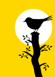 Bird On Tree Drawing Clipart Silhouette With Bird And Tree Clipart Best Clipart Best Amazing Art Painting Painting Art Projects Canvas Art Painting